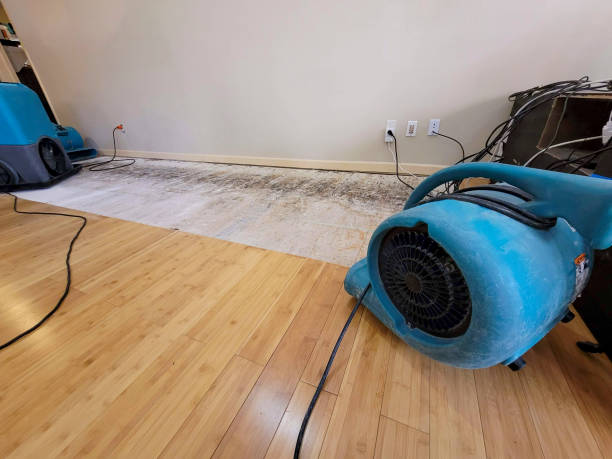 Professional Water Removal technician working in Milo, IA